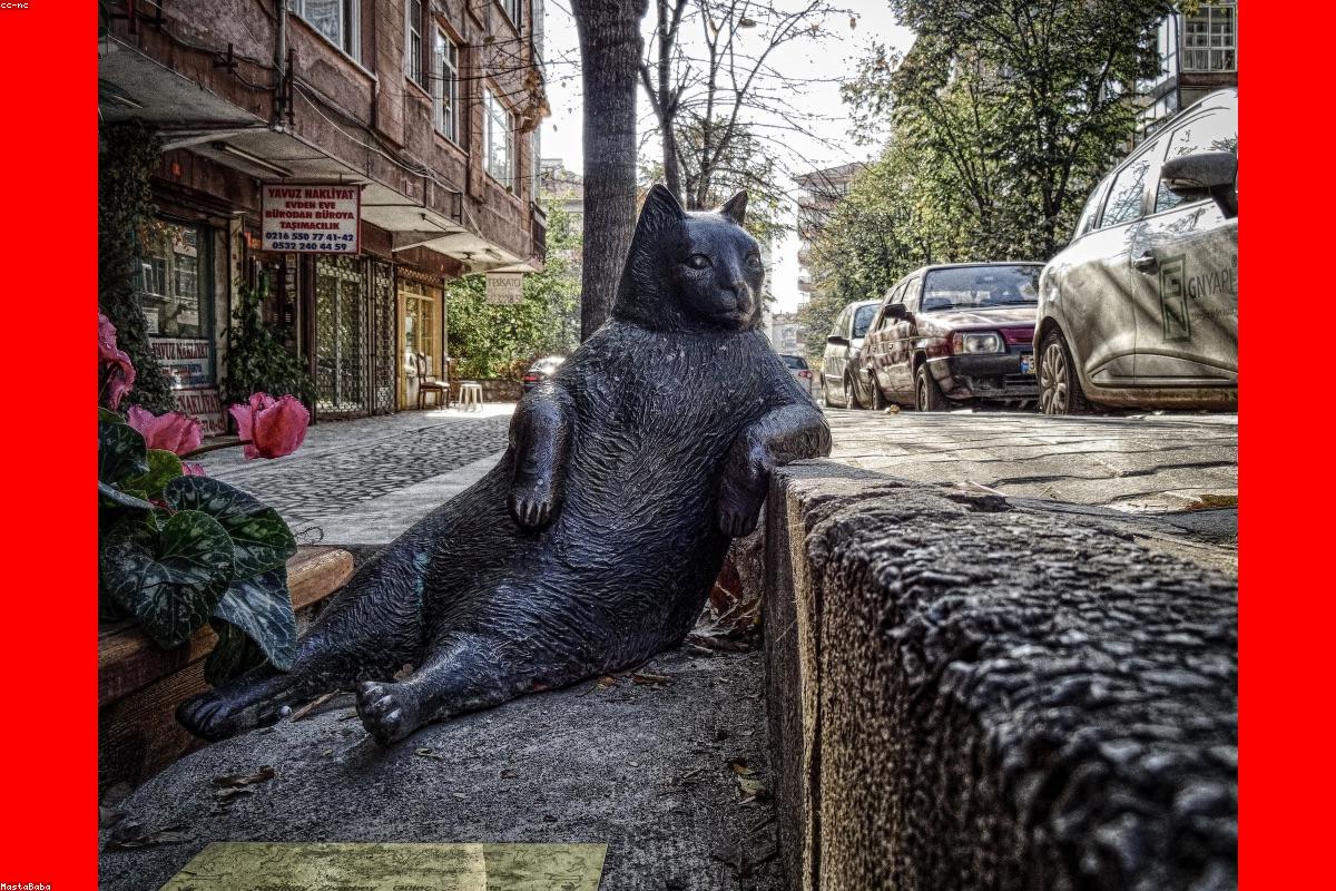 احتراف زيادة المبيعات: أسرار الخبراء لتجار سلة وزد في السعودية