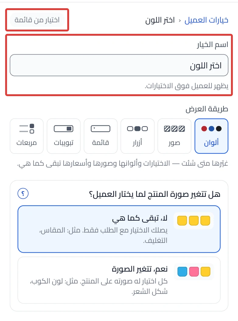 The top of the option's settings: its type next to the name, then Option name and the Display as styles.